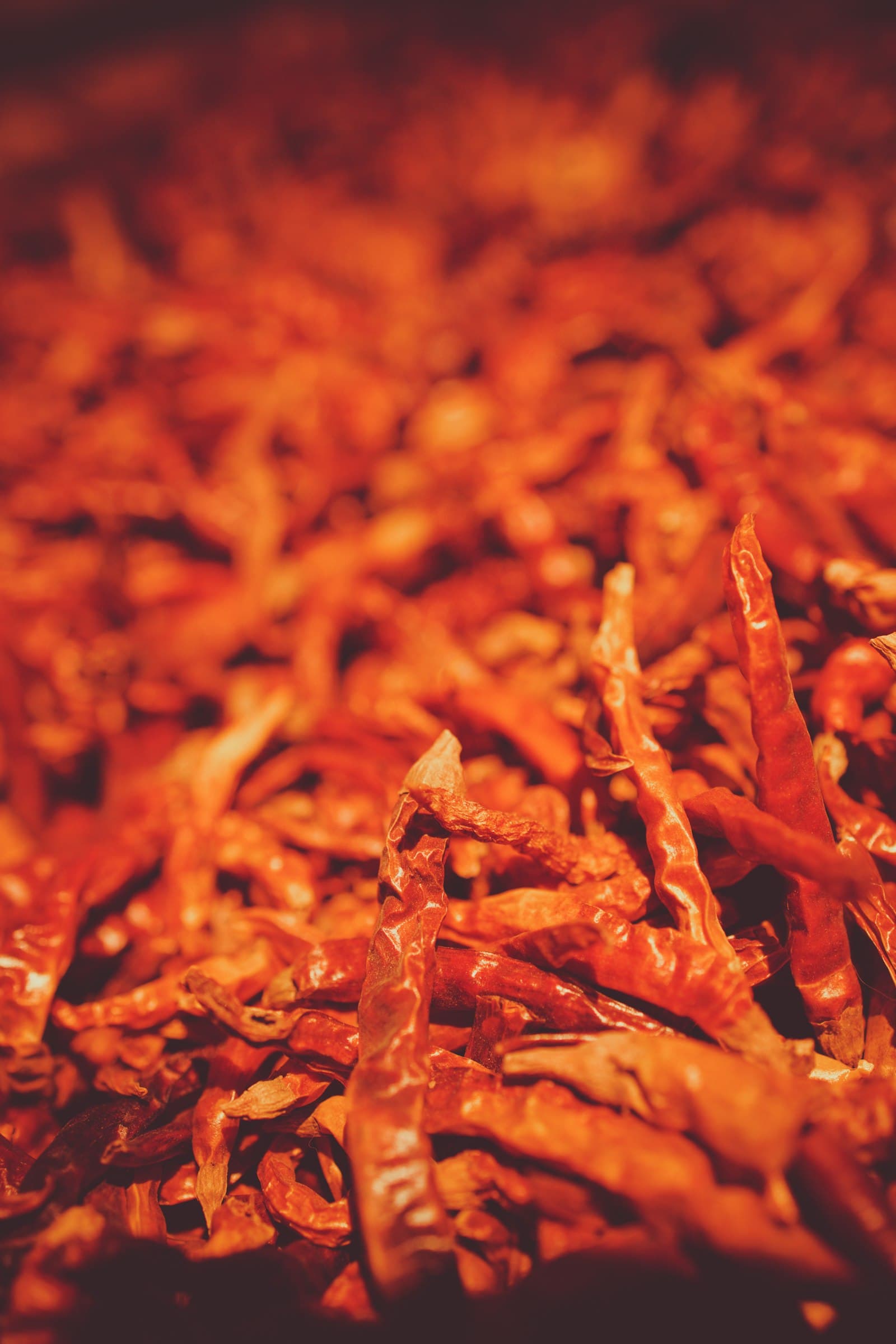 Dry Red Chilli